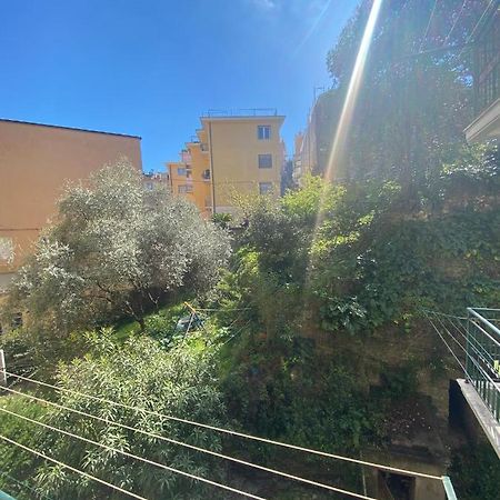 La Casa Di Andrea Grande Appartamento A Due Passi Dalle Spiagge ラッパロ エクステリア 写真