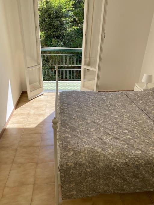 La Casa Di Andrea Grande Appartamento A Due Passi Dalle Spiagge ラッパロ エクステリア 写真