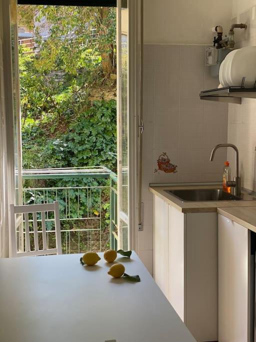 La Casa Di Andrea Grande Appartamento A Due Passi Dalle Spiagge ラッパロ エクステリア 写真