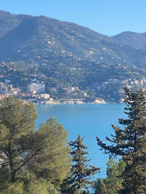 La Casa Di Andrea Grande Appartamento A Due Passi Dalle Spiagge ラッパロ エクステリア 写真